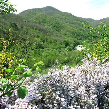 הוילה Montale  Agriturismo Il Giglio E La Rosa מראה חיצוני תמונה