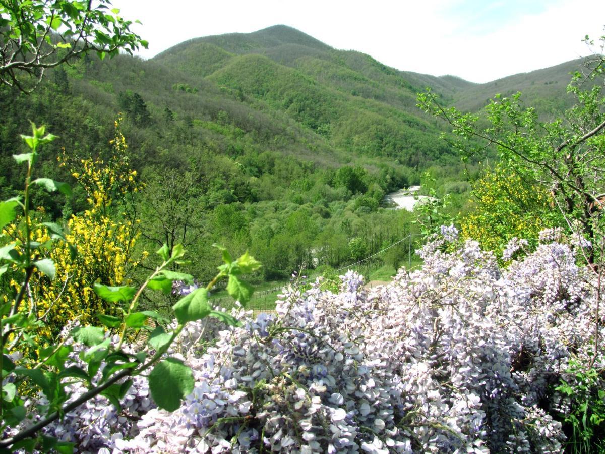 הוילה Montale  Agriturismo Il Giglio E La Rosa מראה חיצוני תמונה